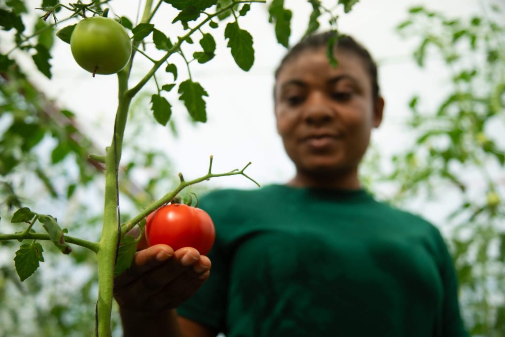 Rising Star Recipient standing in garden...image for purely decorative purposes for Rising Star Page