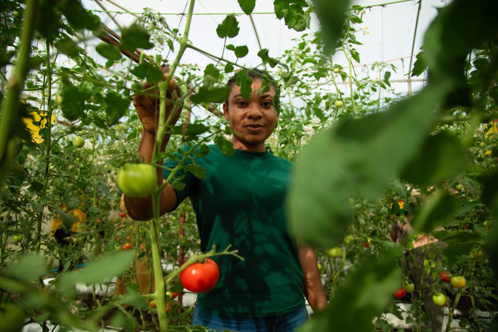 Rising Star Recipient standing in garden...image for purely decorative purposes for Rising Star Page
