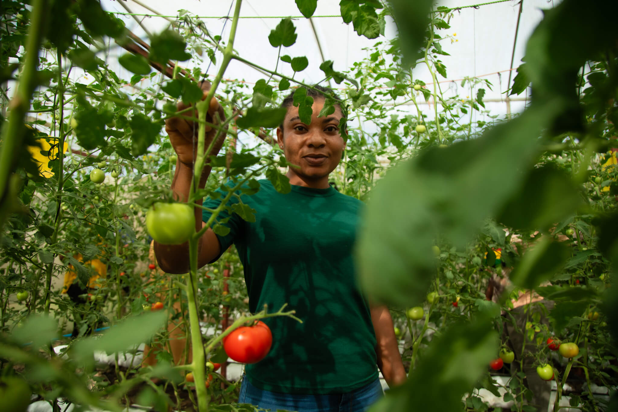 Rising Star Recipient standing in garden...image for purely decorative purposes for Rising Star Page