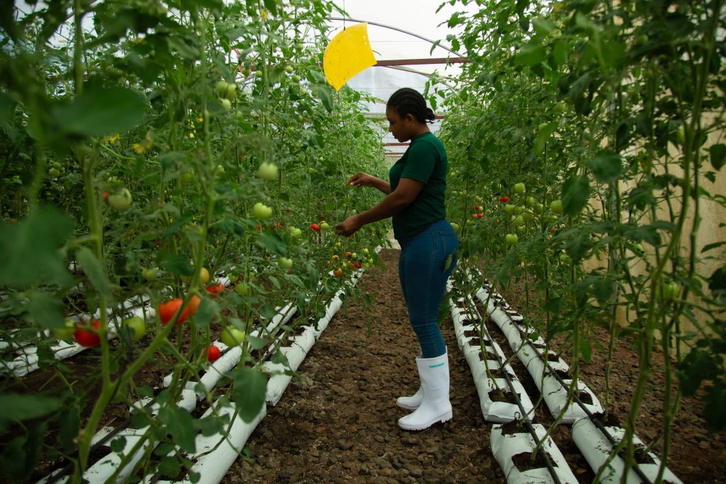 Rising Star Recipient standing in garden...image for purely decorative purposes for Rising Star Page